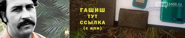 индика Баксан